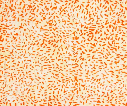 Ketan Batik Blender - #81000-581