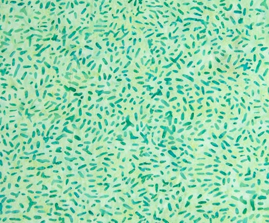 Ketan Batik Blender - #81000-612