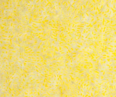 Ketan Batik Blender - #81000-512