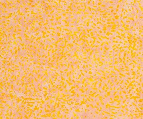 Ketan Batiks #570