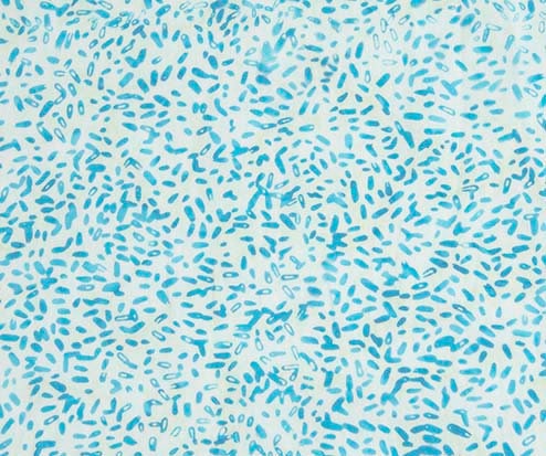 Ketan Batik Mixer - #81000-620