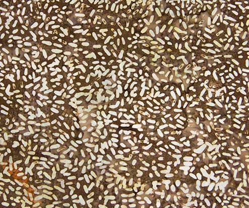 Ketan Batik Mixer - #81000-350