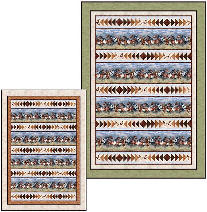 Wild and Free - Border Stripe - #27601-42