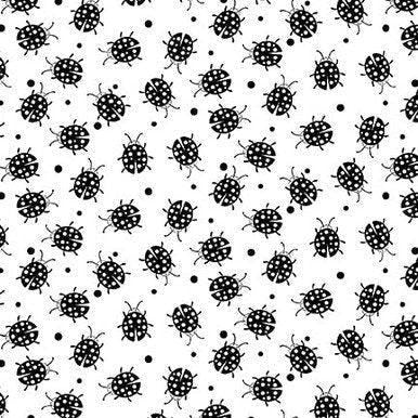 Paradox - Ladybugs - 1786-01