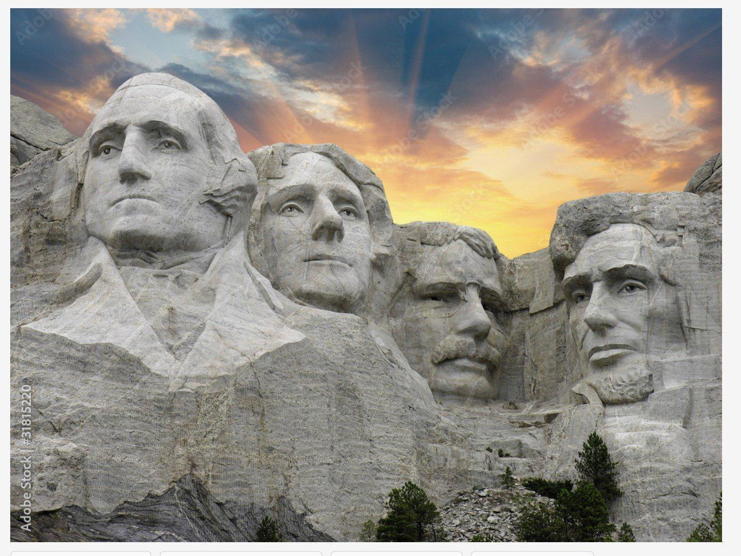 Mount Rushmore - 36" x 58-60" Minky Panel - #MtRush