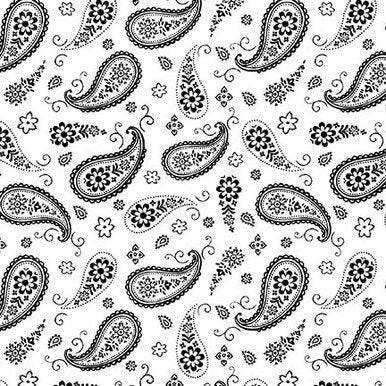 Paradox - Bandana Paisley White - #1780-01