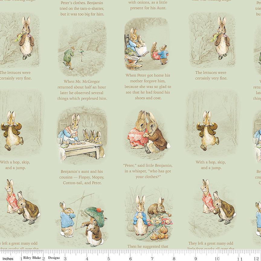 Peter Rabbit and Benjamin Bunny - Story time Green #17252