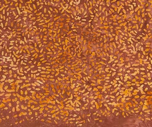 Ketan Batiks #377