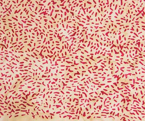 Ketan Batik Blender - #81000-246