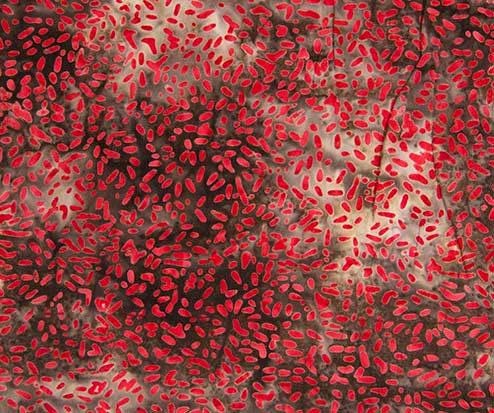 Ketan Batiks #252
