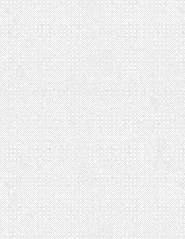 Criss Cross White on White - Wilmington Prints - #85507-101