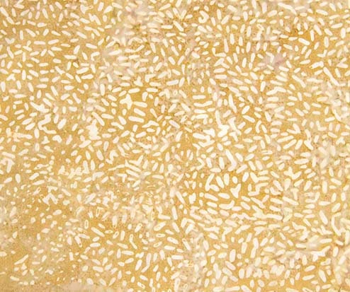 LAST CHANCE - Ketan Batiks #310