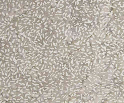 Ketan Batik Mixer - #81000-137