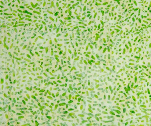 Ketan Batik Blender - #81000-720