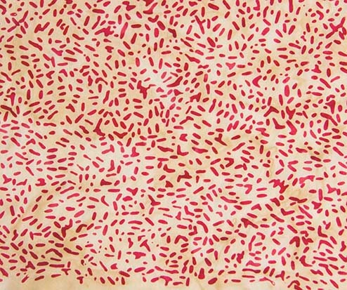 Ketan Batik Blender - #81000-246