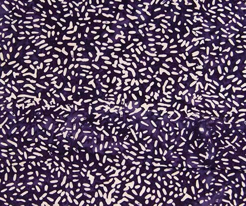 Ketan Batiks #841