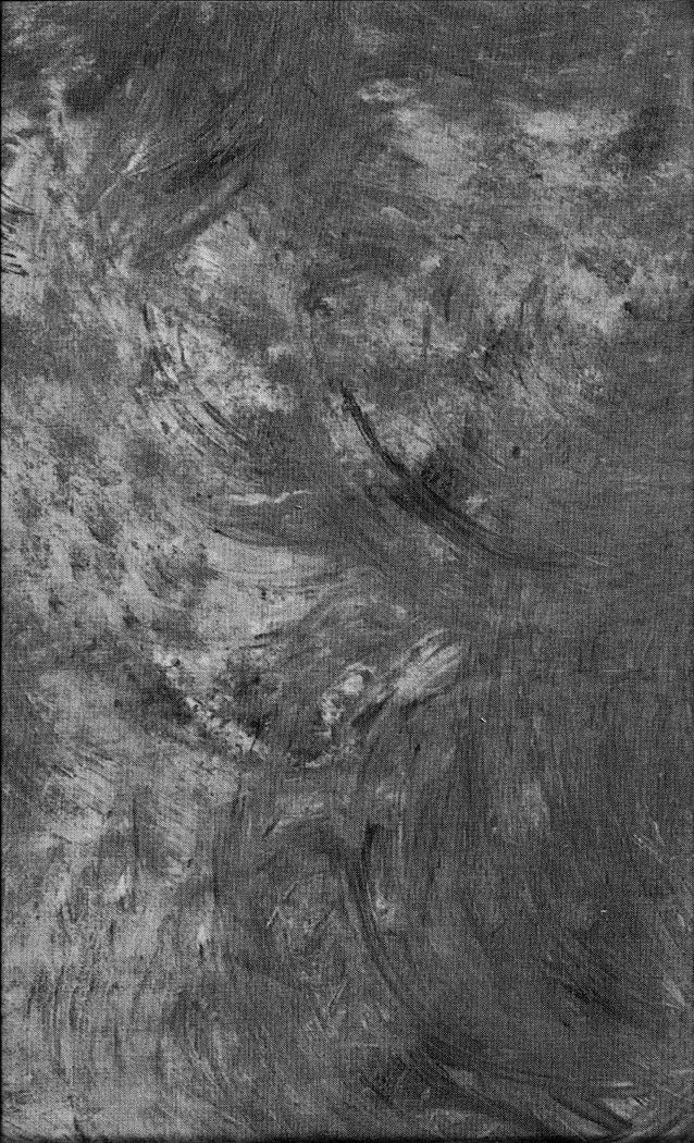 Plaster of Paris - Stone - #40009-92