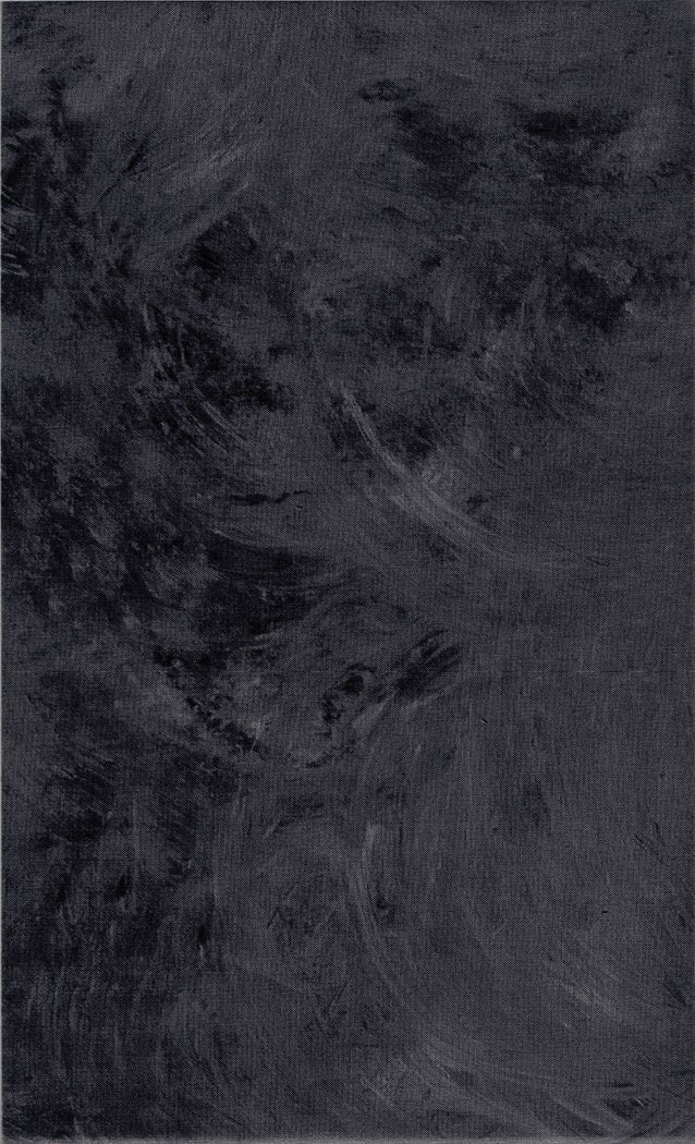 Plaster of Paris - Surface - #40009-98