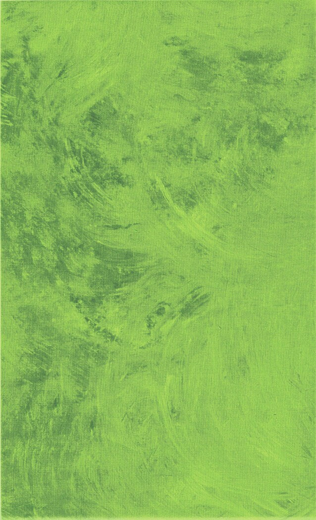 Plaster of Paris - Lime - #40009-72