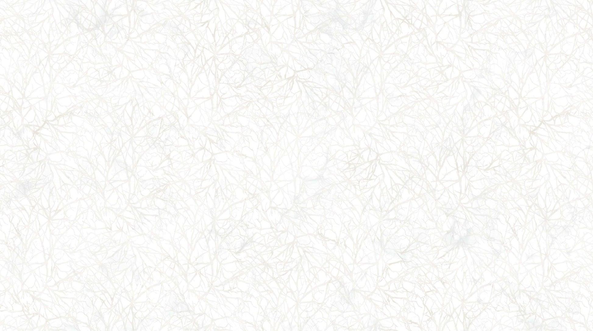 Lone Wolf Collection DP2189-10 White Multi