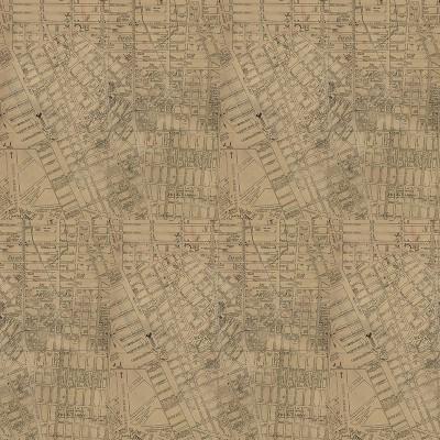 Tim Holtz Neutral Palette Collection - Map #253