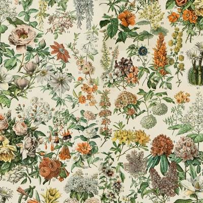 Tim Holtz Orange Palette Collection - Botanical #237