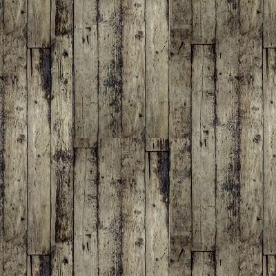 Tim Holtz Neutral Palette Collection - Wood #256