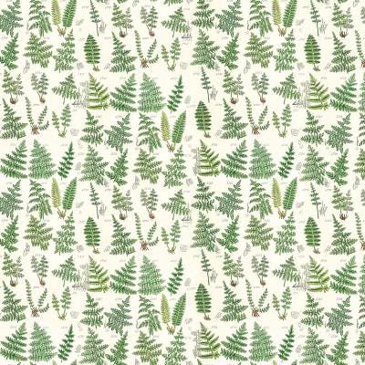 Tim Holtz Green Palette Collection - Ferns #265