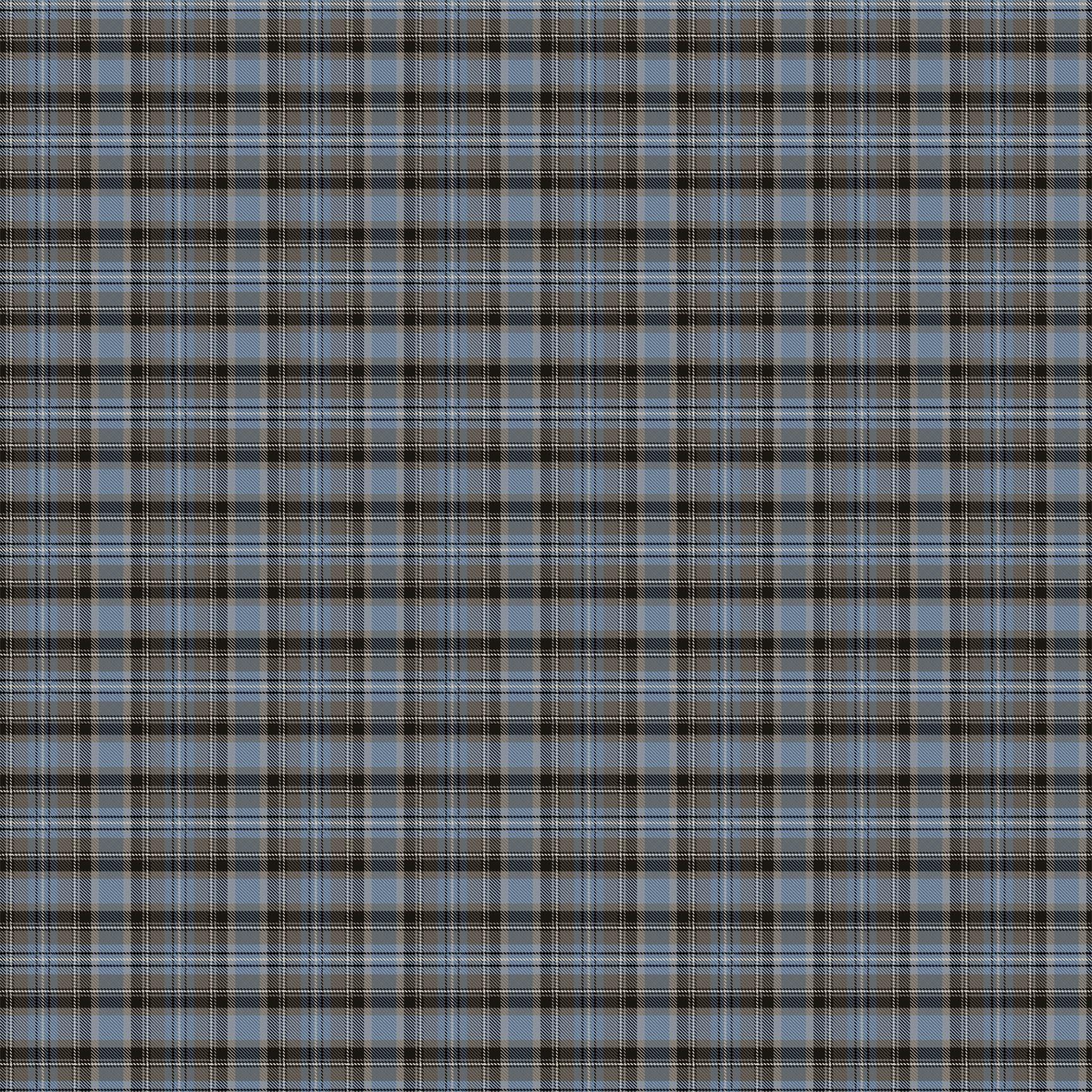 Wild at Heart - Plaid - Medium Blue Multi #28193-44