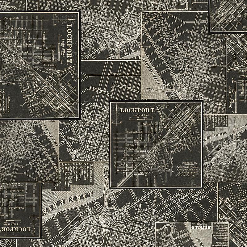 Tim Holtz Charcoal Palette Collection - Map #313