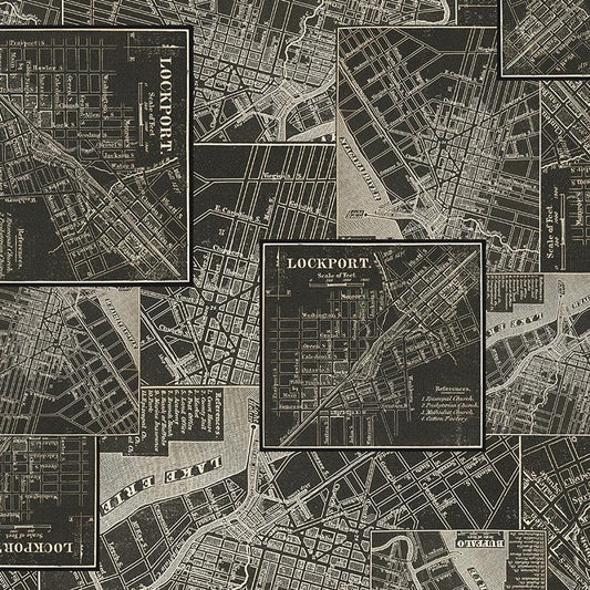 Tim Holtz Charcoal Palette Collection - Map #313