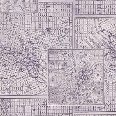 Tim Holtz Purple Palette Collection - Map #303