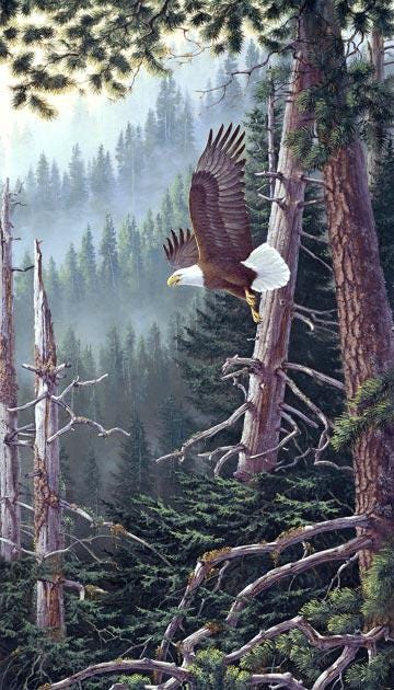 Beyond the Forest - 24" x 44" Panel - #21936-91
