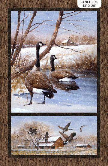 Take a Gander - 43" x 28" Panel - #23511-34