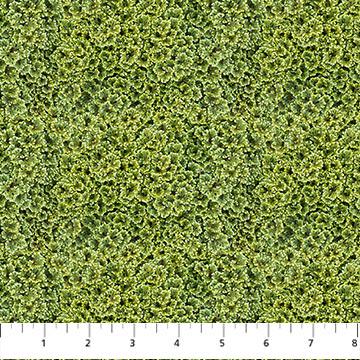 Naturescapes - Foliage