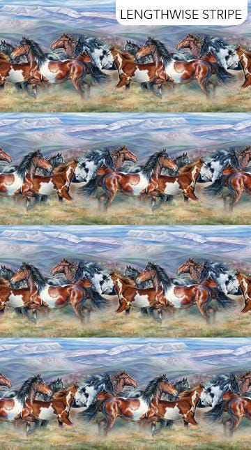 Wild and Free - Border Stripe - #27601-42