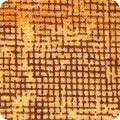 Chalk & Charcoal - Amber #17513-142