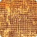Chalk & Charcoal - Amber #17513-142