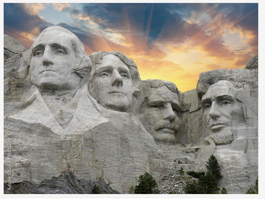 Mount Rushmore - 36" x 58-60" Minky Panel - #MtRush