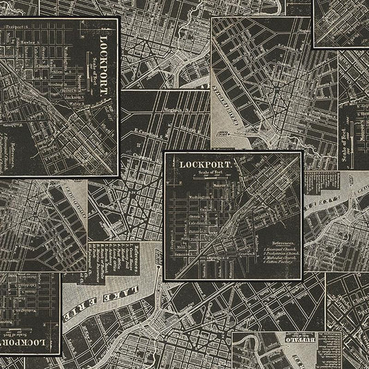 Tim Holtz Charcoal Palette Collection - Map #313