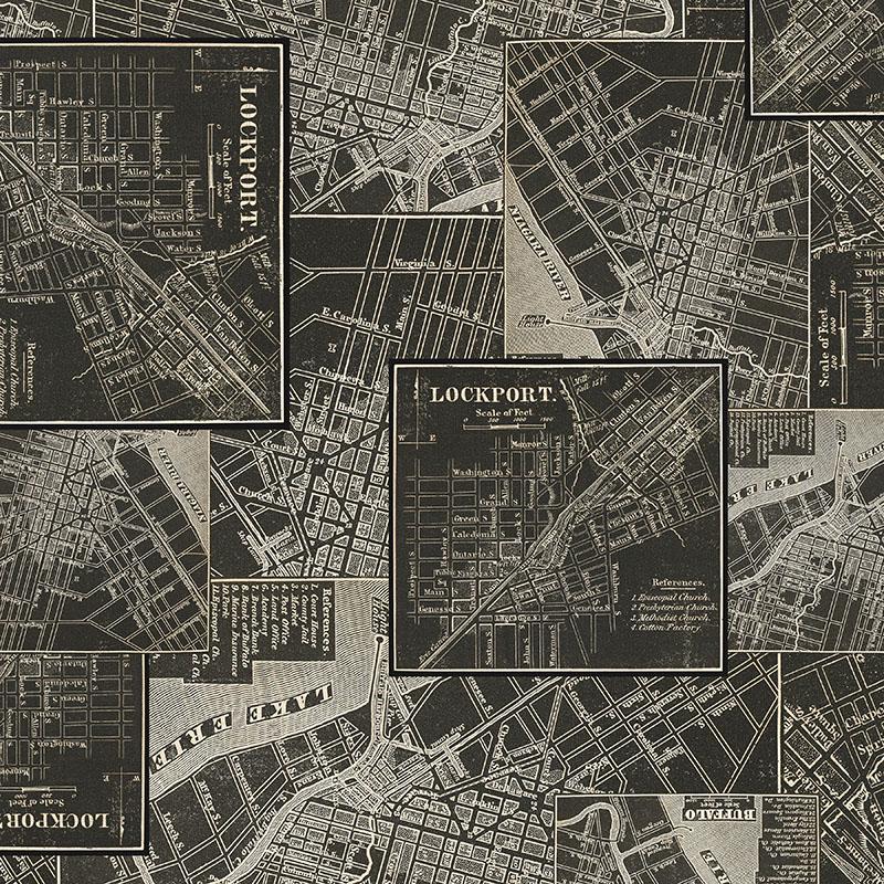 Tim Holtz Charcoal Palette Collection - Map #313