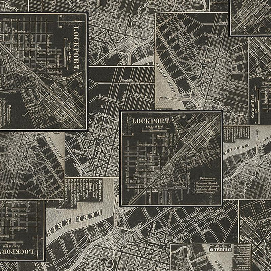 Tim Holtz Charcoal Palette Collection - Map #313