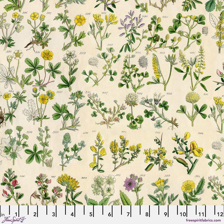 Tim Holtz Yellow Palette Collection - Botanical #245