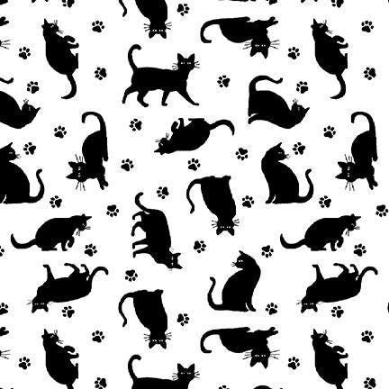 Paradox - Cats #1783-01
