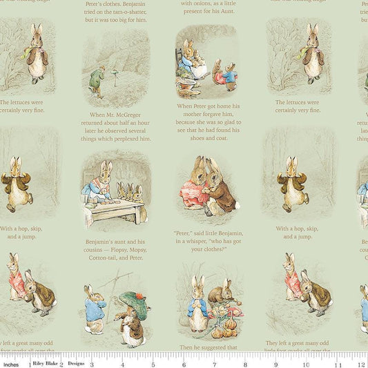 Peter Rabbit and Benjamin Bunny - Story time Green #17252