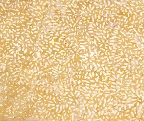 LAST CHANCE - Ketan Batiks #310