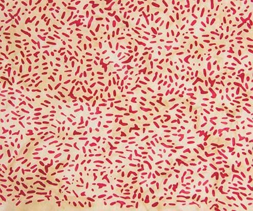 Ketan Batik Blender - #81000-246