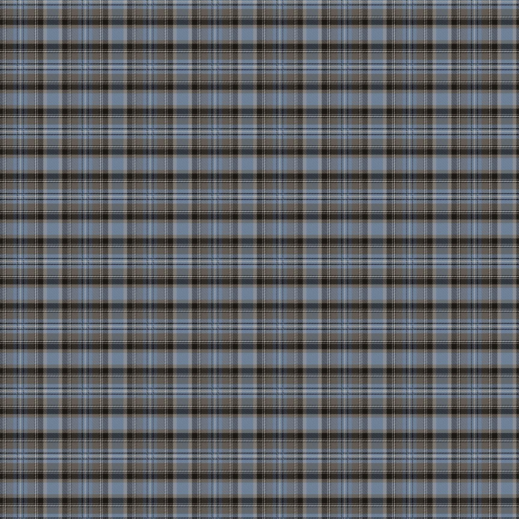 Wild at Heart - Plaid - Medium Blue Multi #28193-44