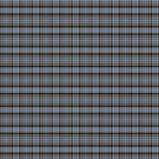 Wild at Heart - Plaid - Medium Blue Multi #28193-44