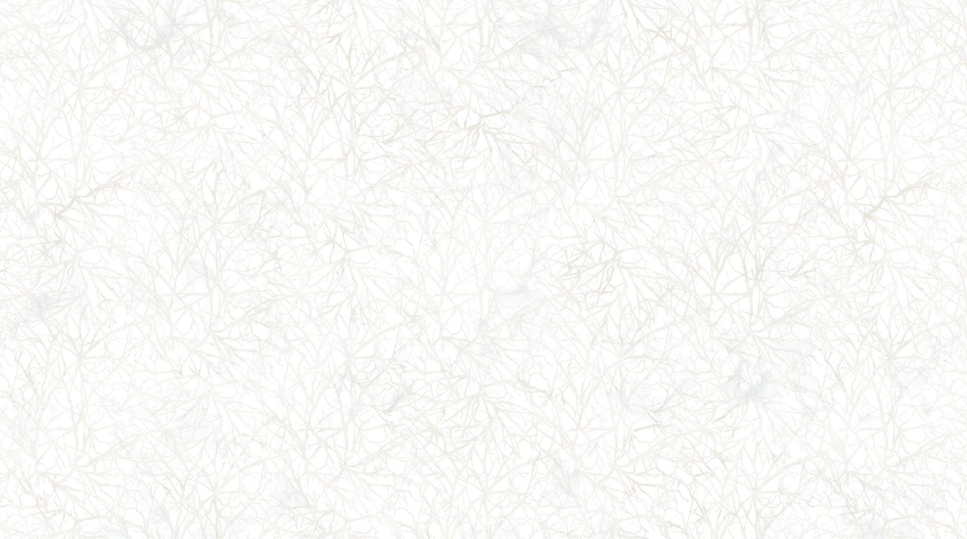 Lone Wolf Collection DP2189-10 White Multi